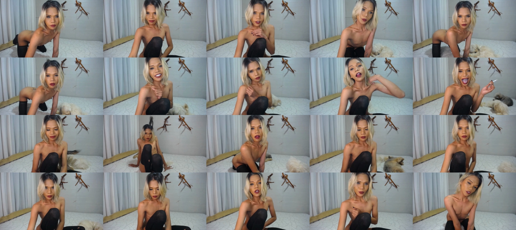 snakeprincessforu  13-12-2022